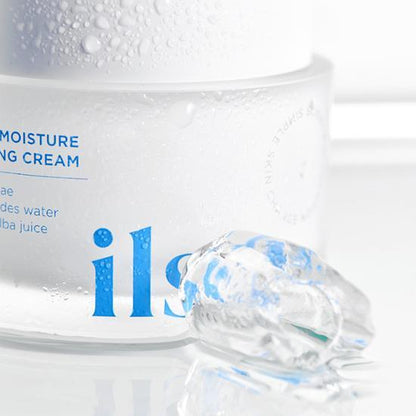 韓國 ilso｜保濕布丁面霜｜50ml